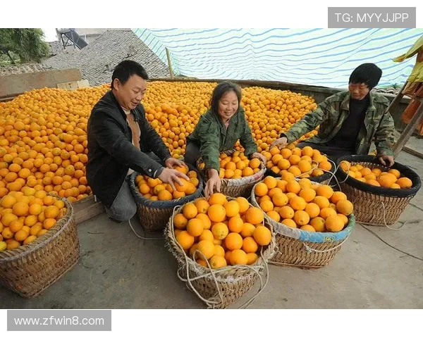 足球农庄主题餐厅设计融合乡村风情与体育文化打造独特就餐体验